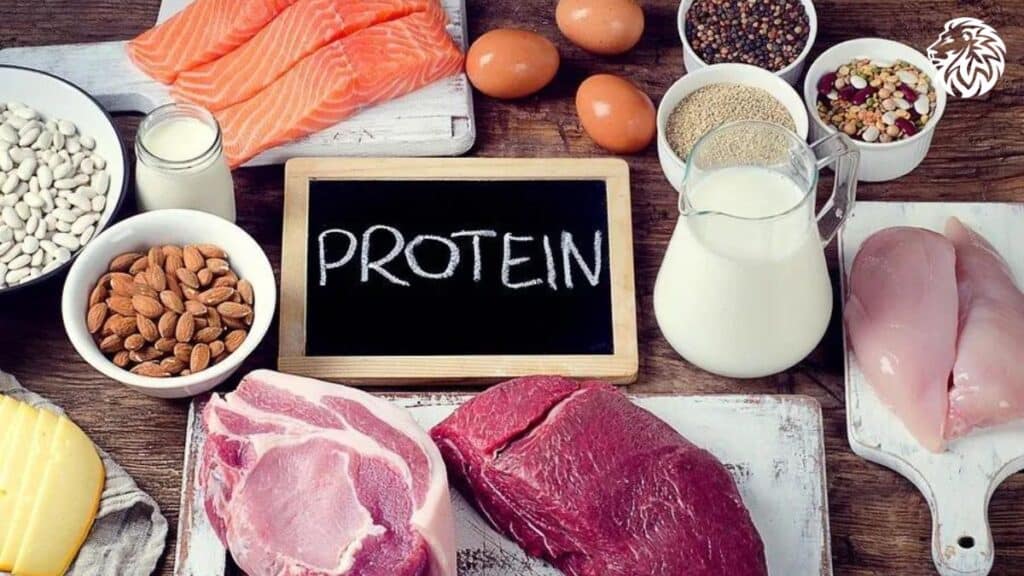 High Protein Diet