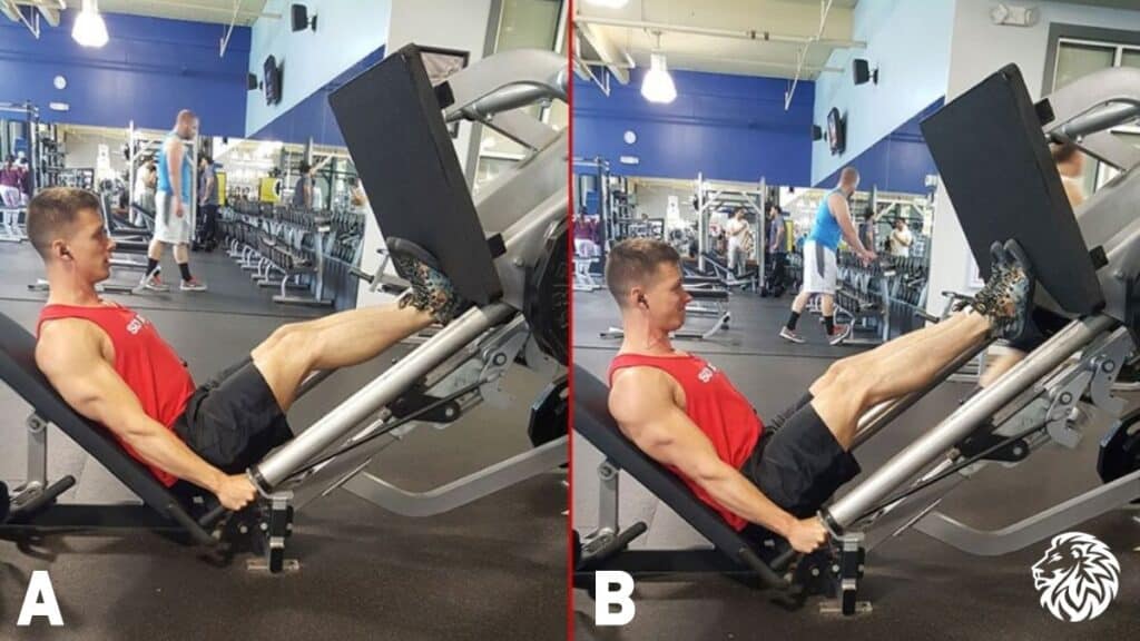 Leg Press Calf Raises