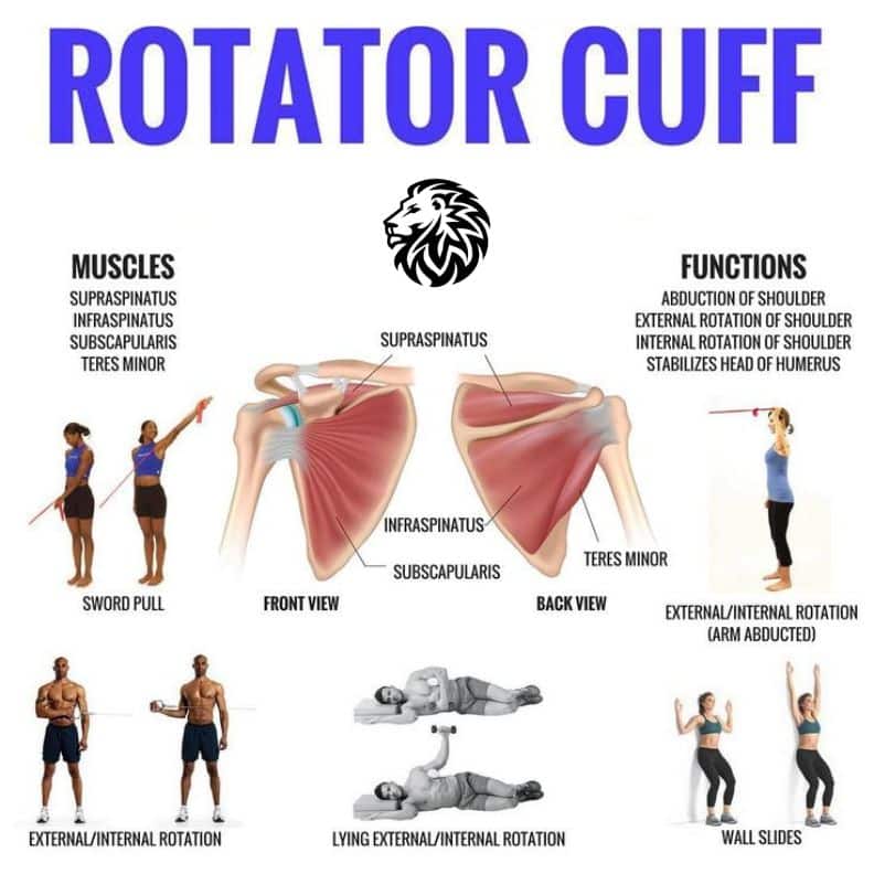 Rotator Cuff Exercises