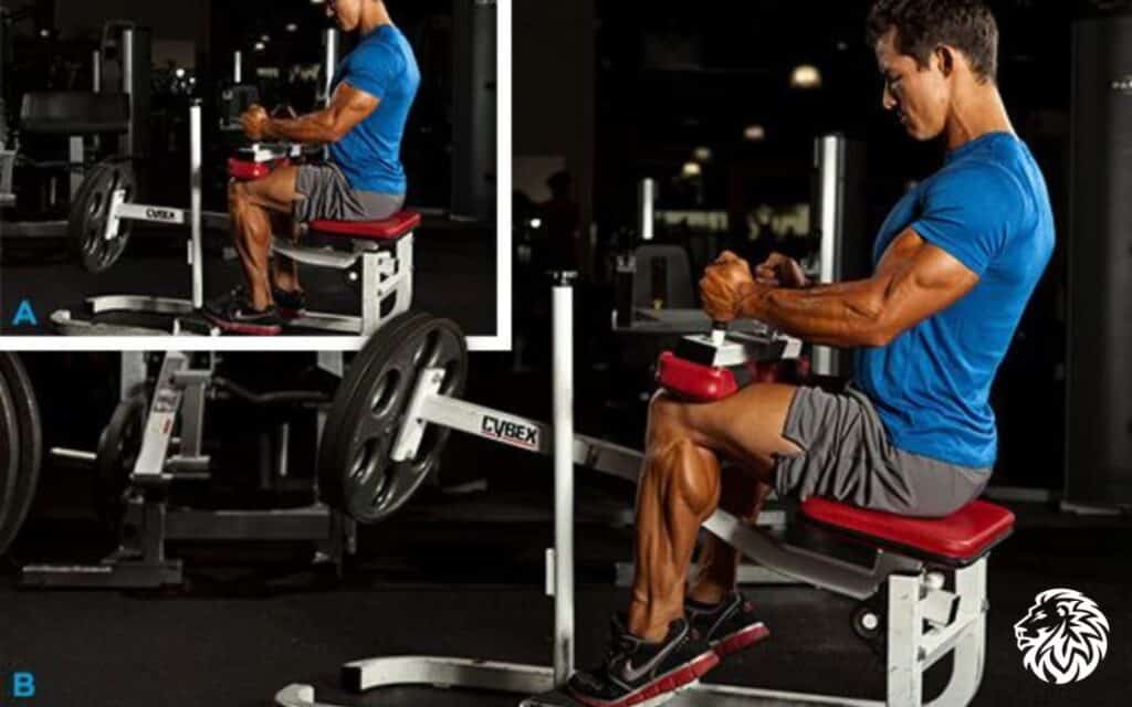 Seated Calf Raises