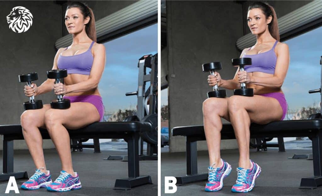 Seated Calf Raises