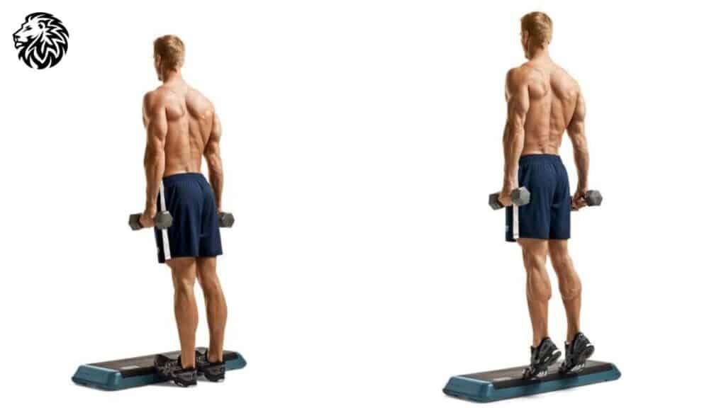 Standing Calf Raises