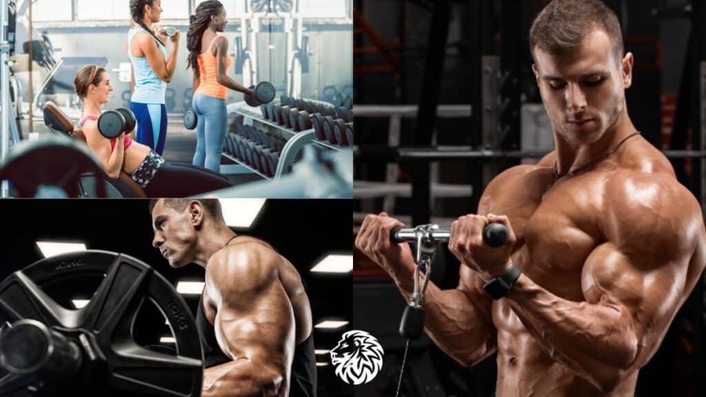 How to Get Bigger Biceps