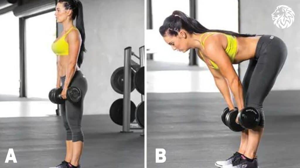 Dumbbell Stiff-Legged Deadlift