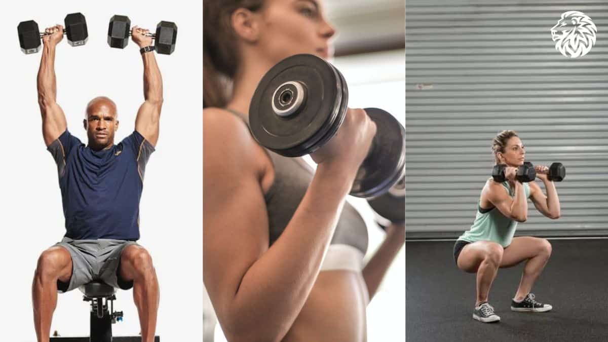 Maximizing Home Workouts: The Push-Pull-Leg Dumbbell Routine