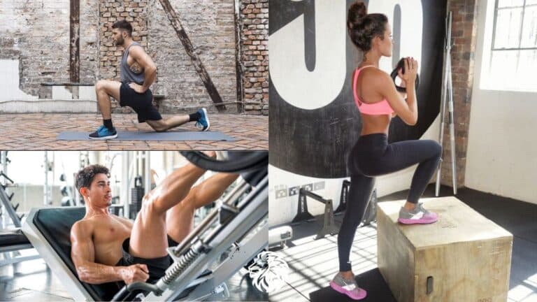 8 Quad Exercises for Beginners