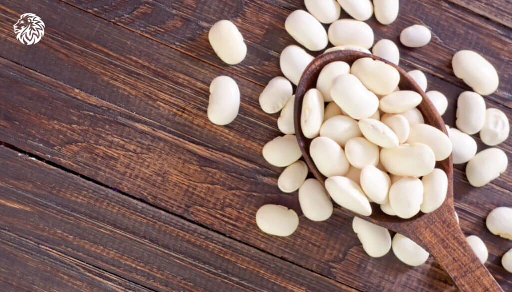 White Kidney Bean Extract