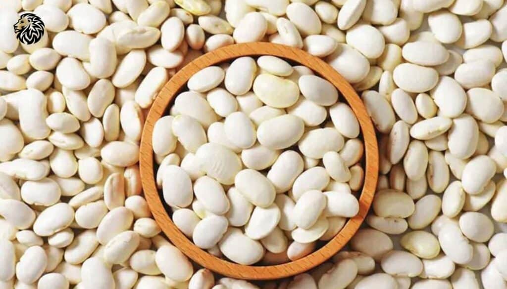 White Kidney Bean Extract