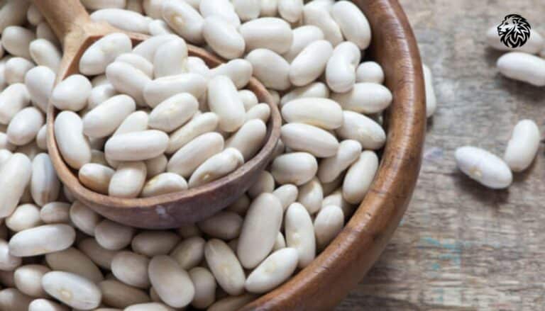 White Kidney Bean Extract