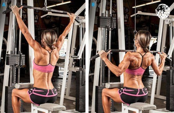 Lat Pulldown