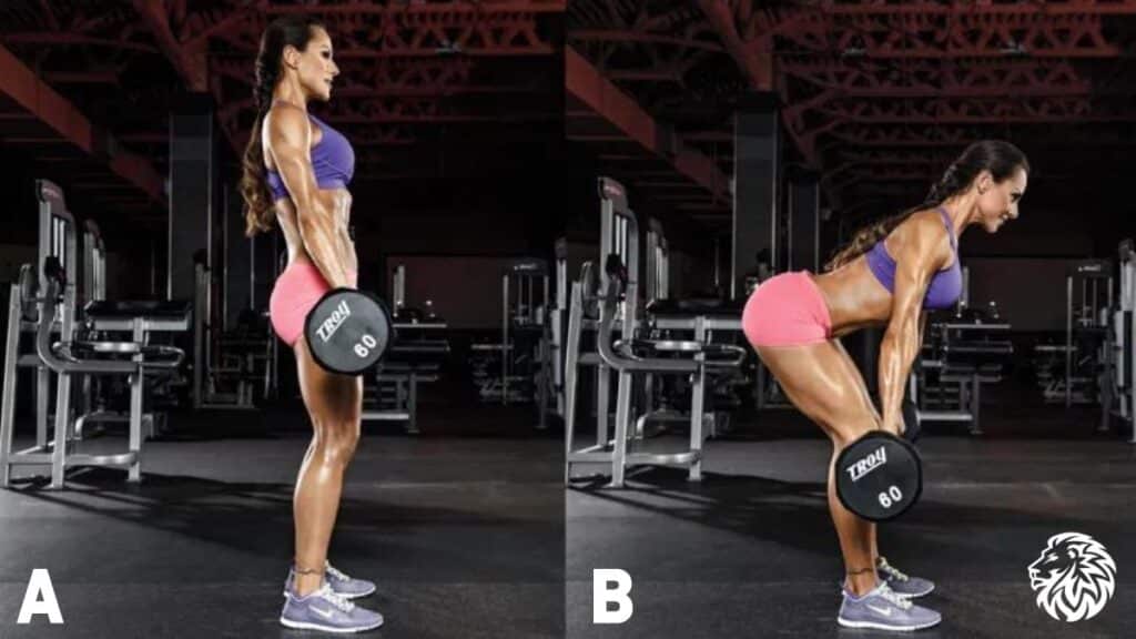 Romanian Deadlift (RDL) - Best Exercises to Lose Weight and Build Strength for Women