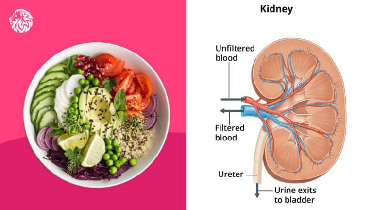 Is the DASH Diet Good for Kidney Disease?