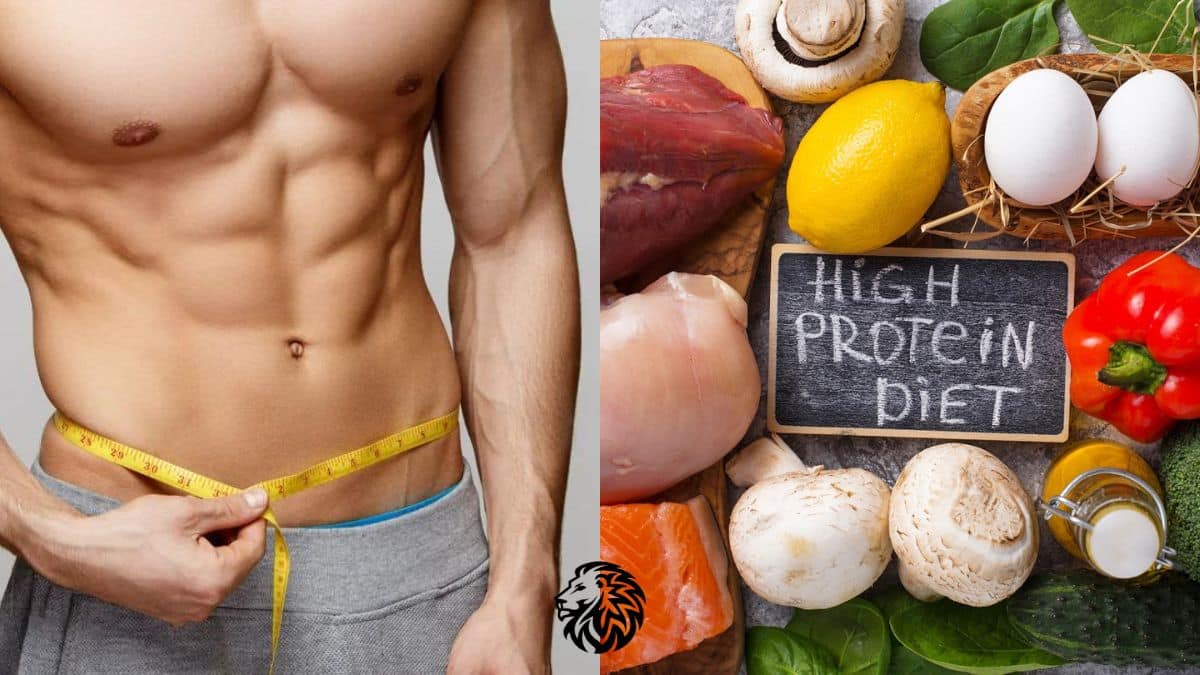 best high-protein foods