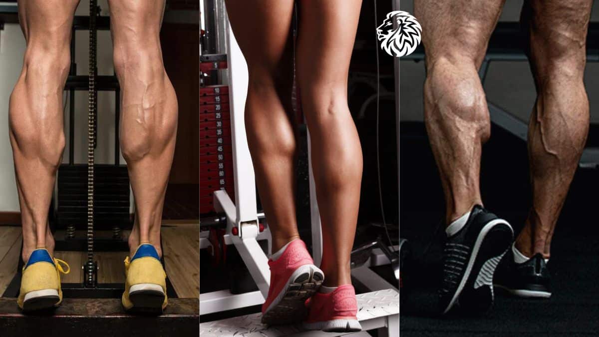 The 10 Best Calf Exercises