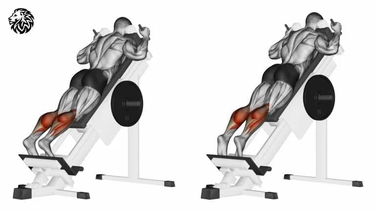 Hack Squat Calf Raises