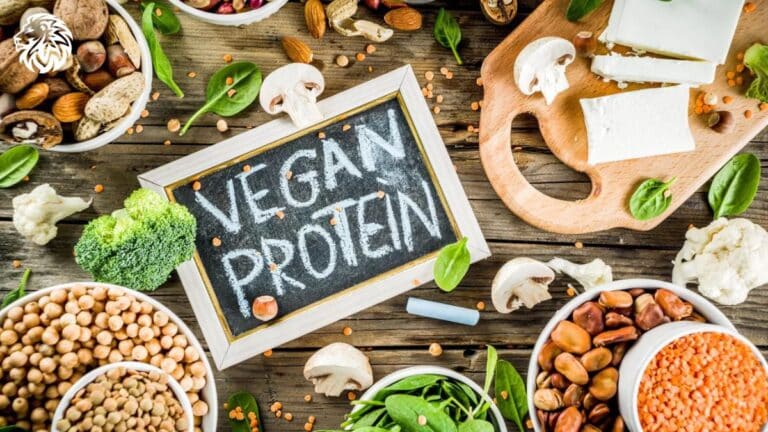 Vegetarian High-Protein Diet