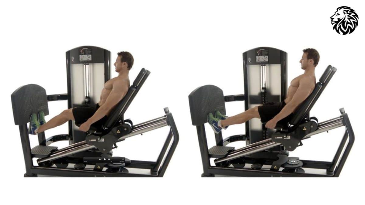 Leg Press Calf Raises