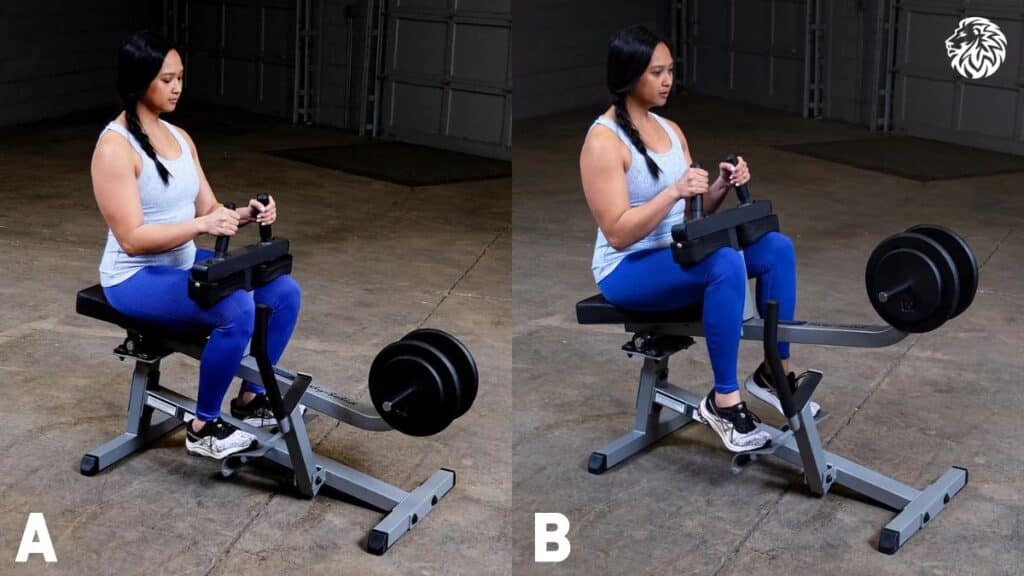 Seated Calf Raise Machine