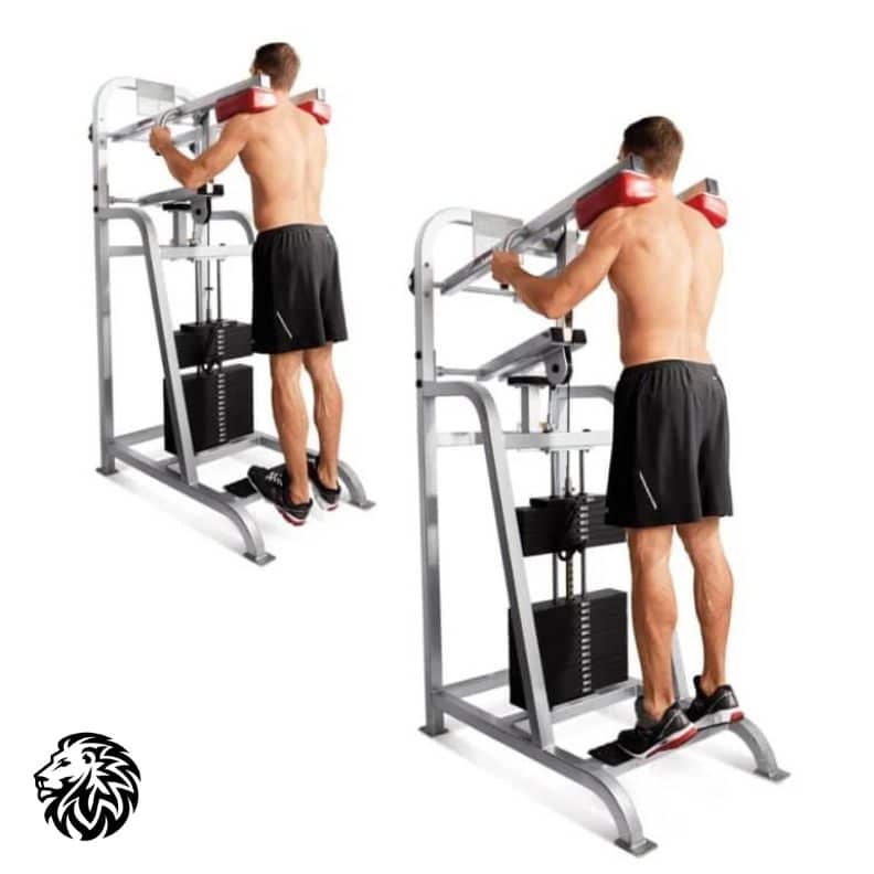 Standing Calf Raise Machine