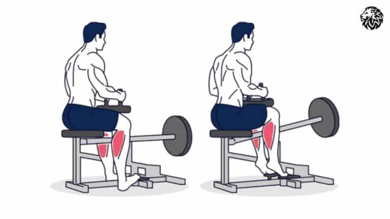 Seated Calf Raise Machine