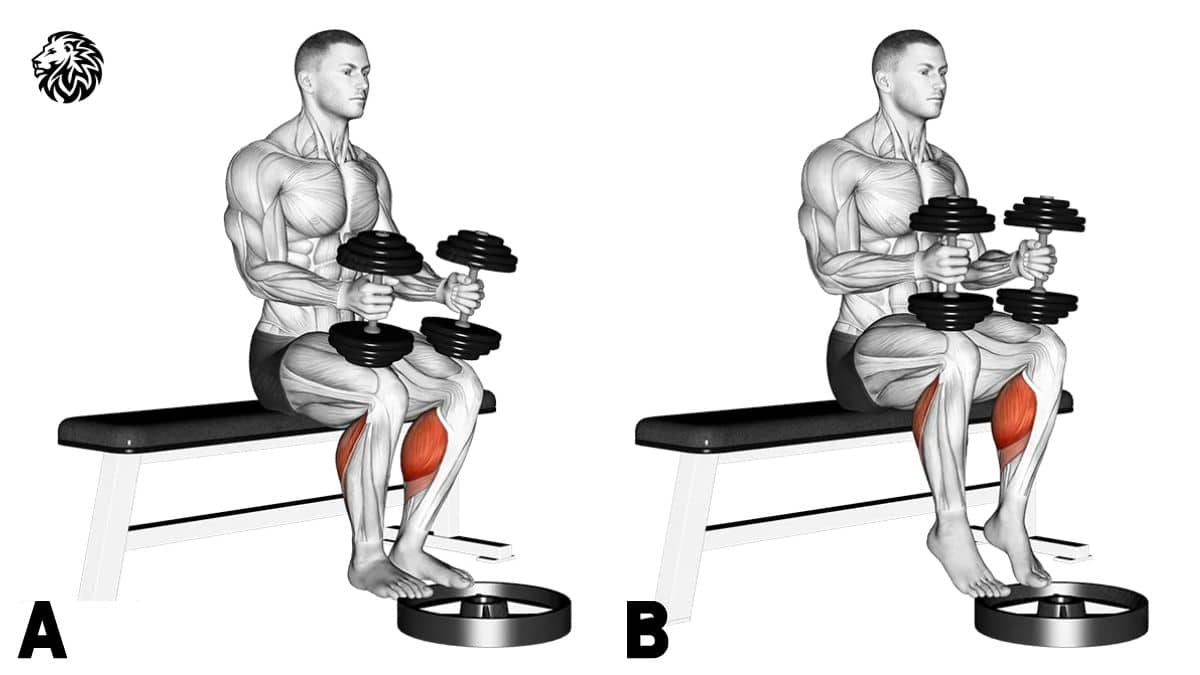 Seated Dumbbell Calf Raises