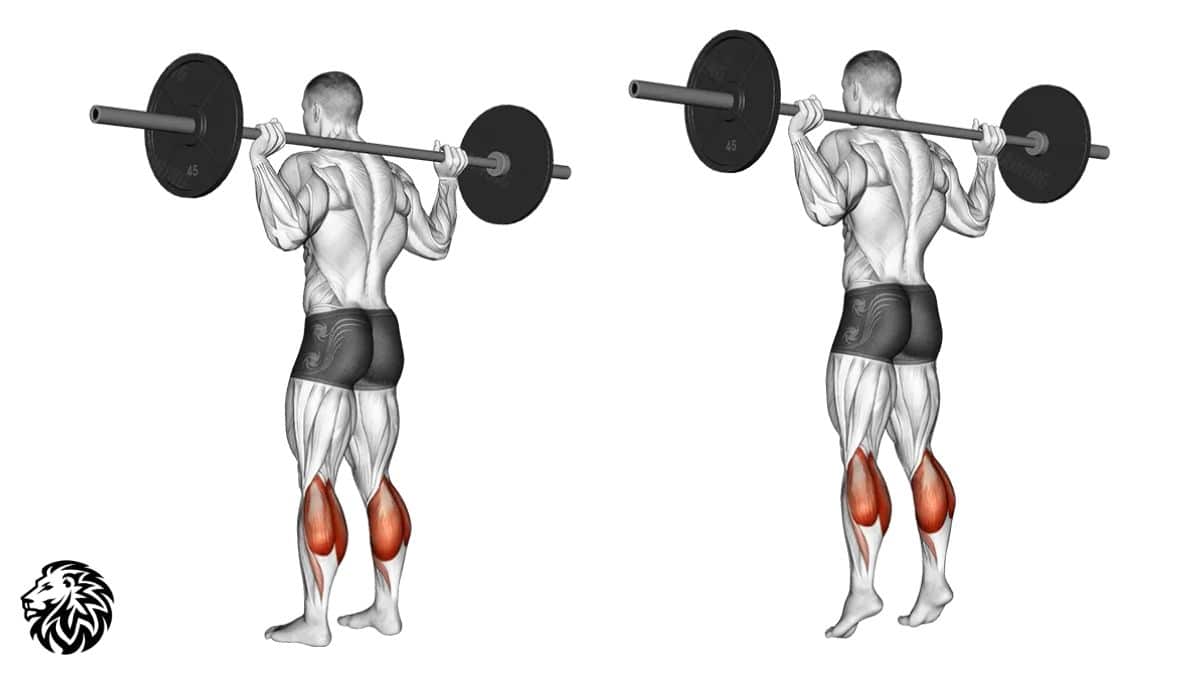 Standing Barbell Calf Raises