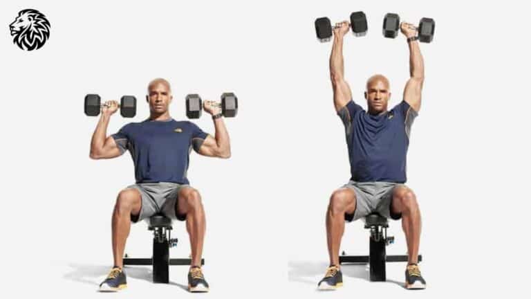 Seated Dumbbell Shoulder Press