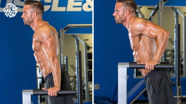 Triceps Dips