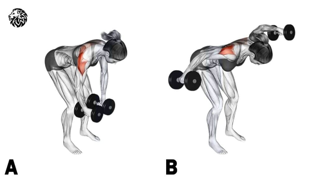 Rear Delt Raise