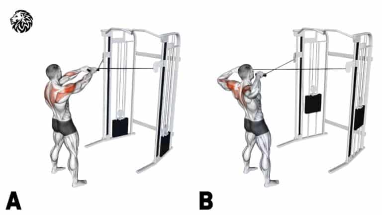 Cable Face Pull