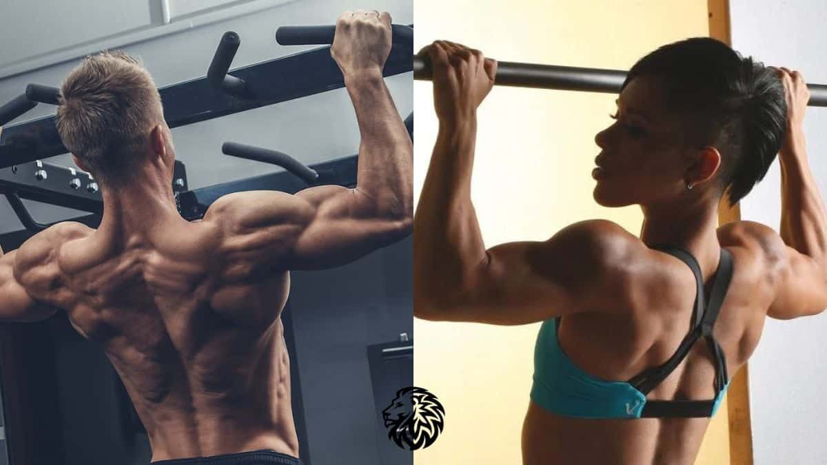 Exercises to Boost Your Pull-up Performance