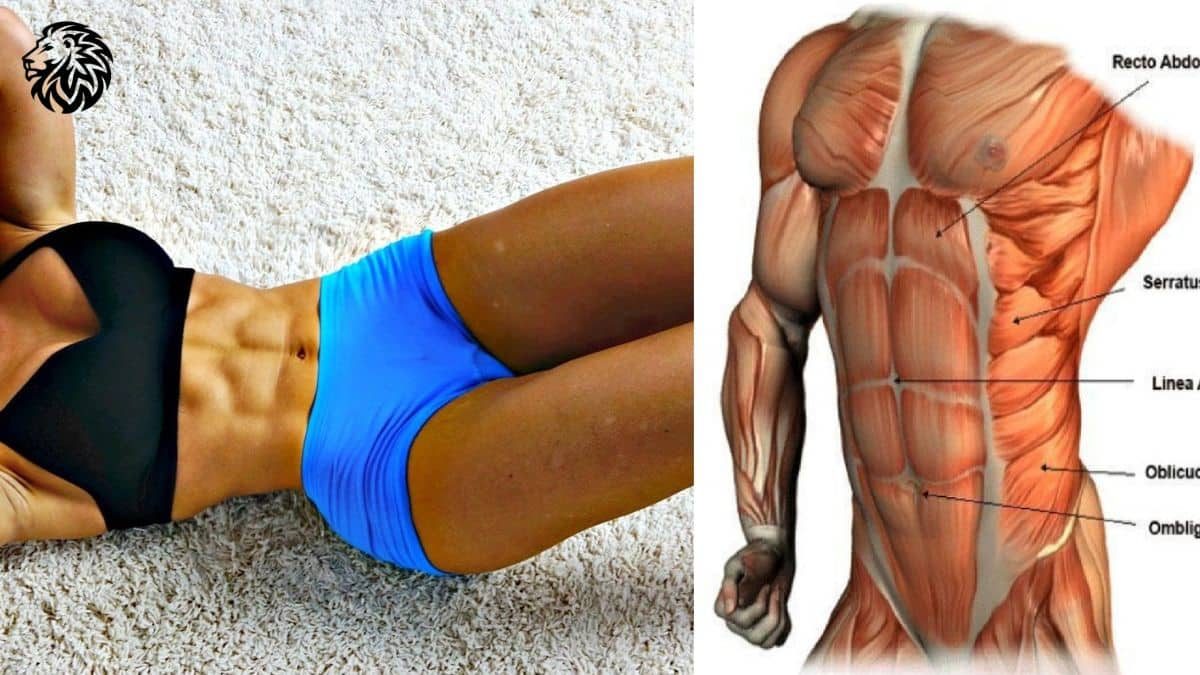 3 Exercises That Beat Sit-Ups for a Chiseled Six-Pack