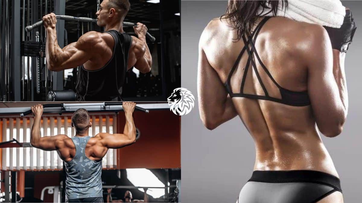 What are the Best Workouts for Your Back?