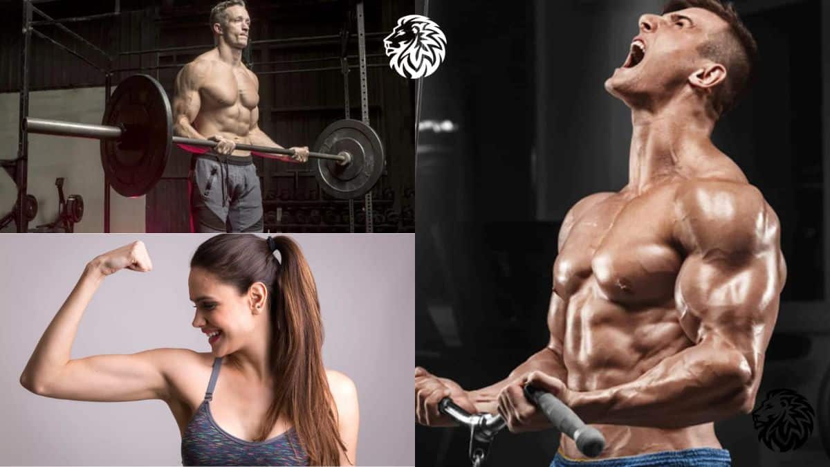 How to Get Bigger Biceps in 10 Easy Steps