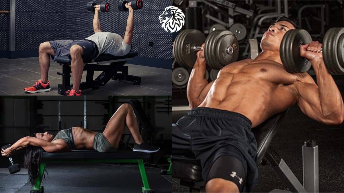 The 8 Best Dumbbell Chest Exercises