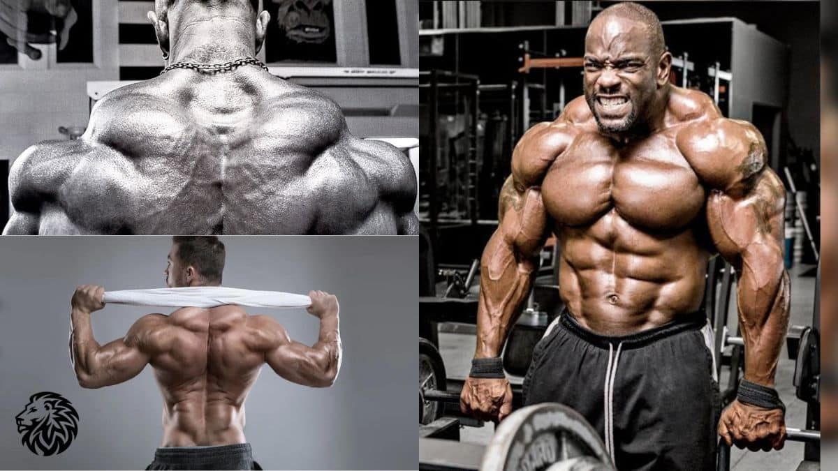 6 Trapezius Muscle Exercises for Building Big Traps