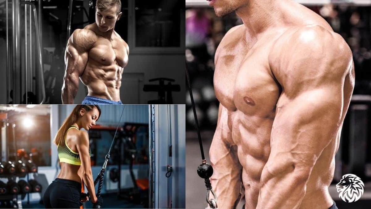 10 Best Triceps Exercises for Building Muscle